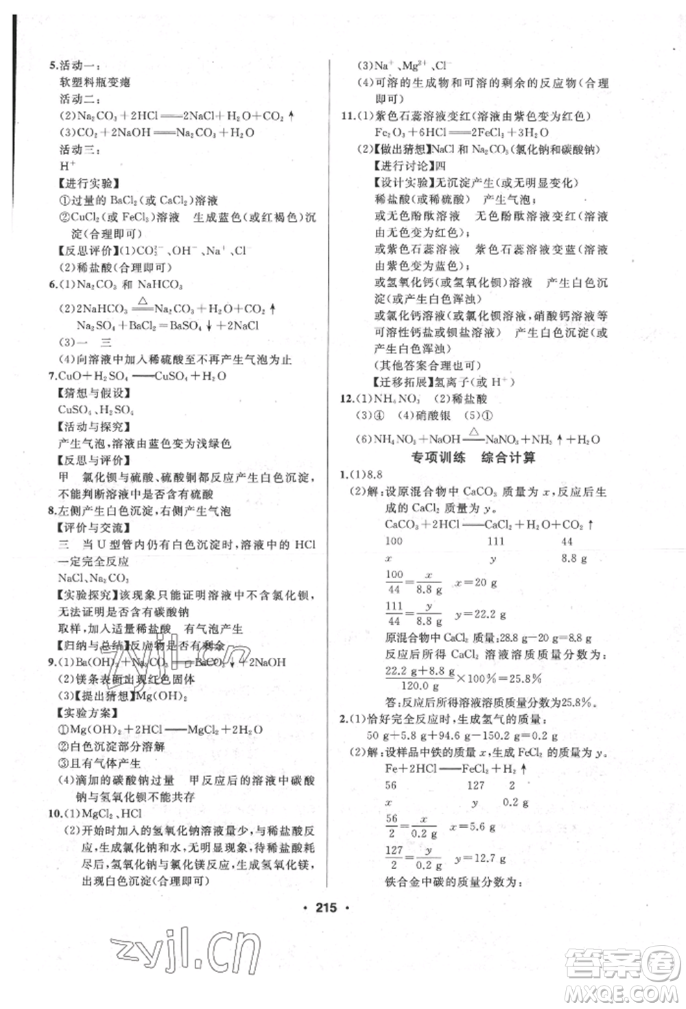 延邊人民出版社2022試題優(yōu)化課堂同步九年級下冊化學人教版參考答案