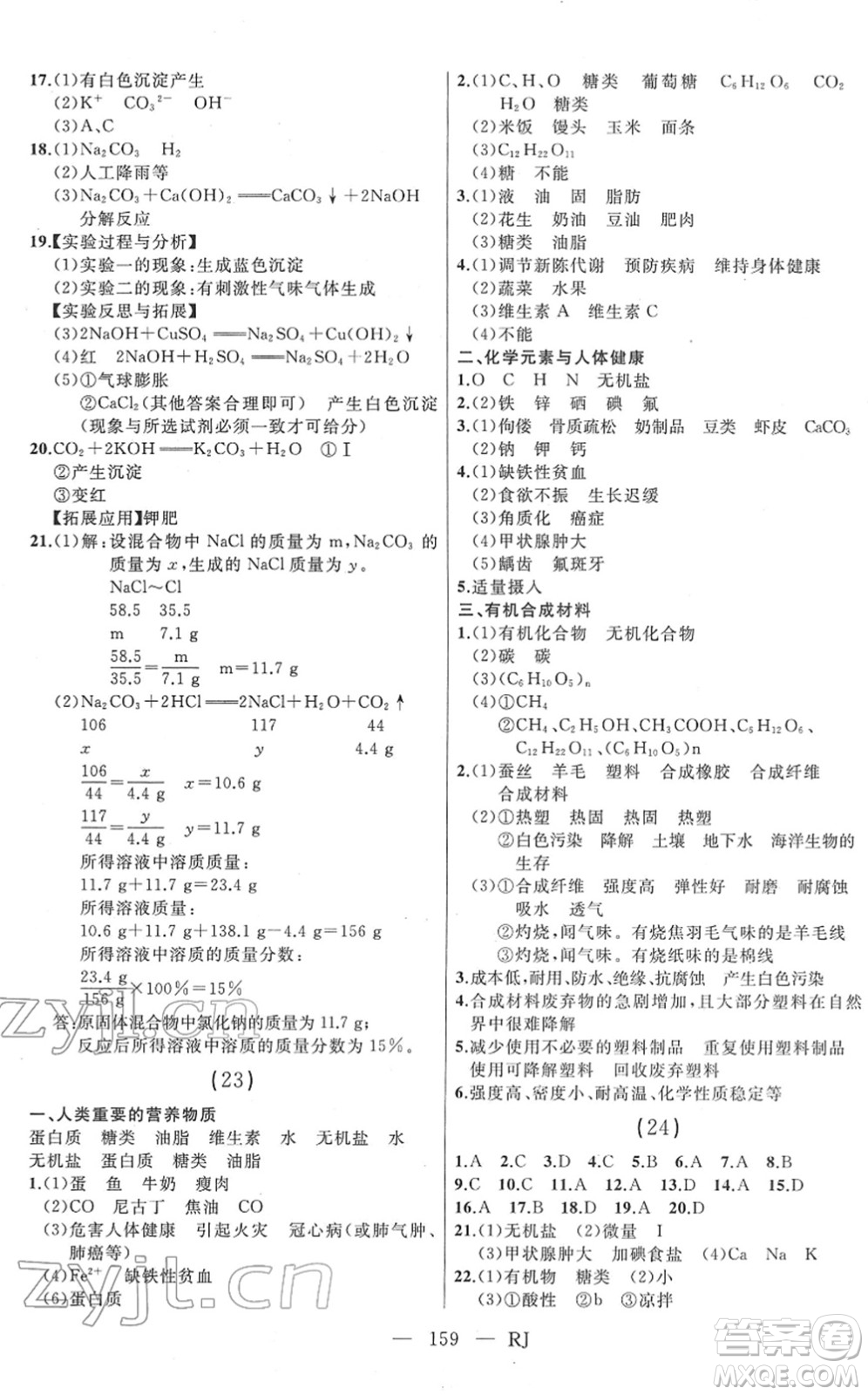 延邊人民出版社2022總復(fù)習(xí)測(cè)試一輪高效復(fù)習(xí)用書(shū)九年級(jí)化學(xué)人教版答案