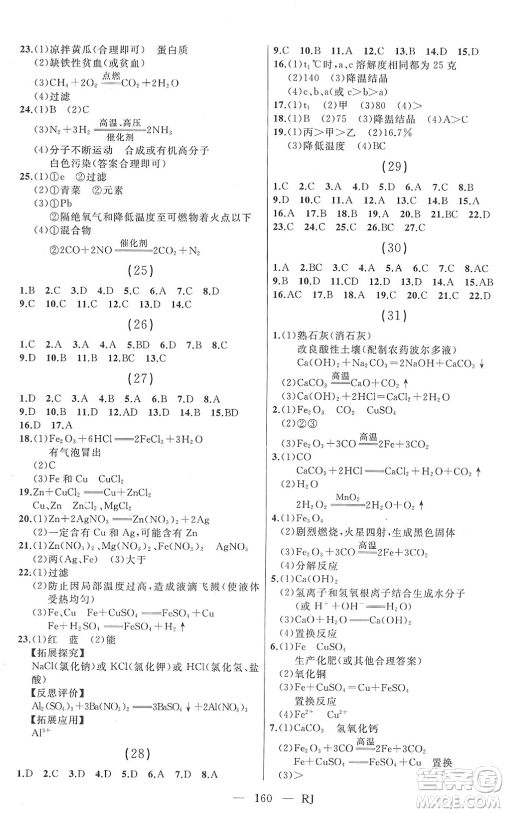 延邊人民出版社2022總復(fù)習(xí)測(cè)試一輪高效復(fù)習(xí)用書(shū)九年級(jí)化學(xué)人教版答案