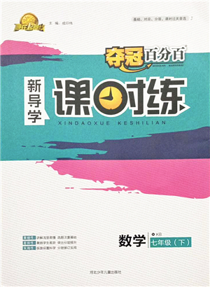 河北少年兒童出版社2022奪冠百分百新導(dǎo)學(xué)課時練七年級數(shù)學(xué)下冊人教版答案