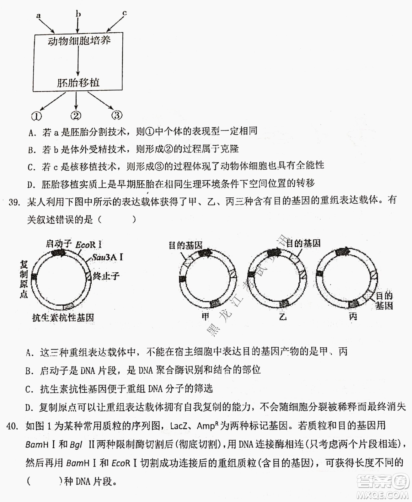 大慶實驗中學(xué)實驗一部2020級高二下學(xué)期期中考試生物試題及答案