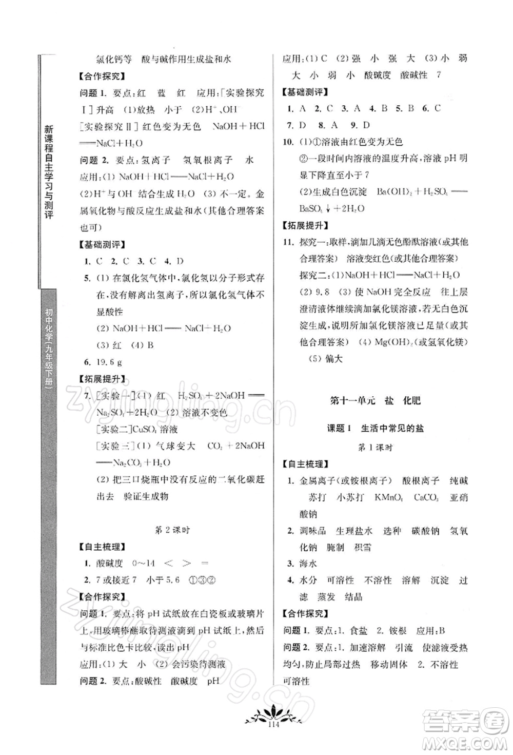 南京師范大學(xué)出版社2022新課程自主學(xué)習(xí)與測(cè)評(píng)九年級(jí)下冊(cè)化學(xué)人教版參考答案