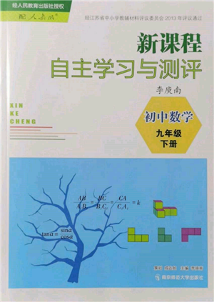 南京師范大學出版社2022新課程自主學習與測評九年級下冊數學人教版參考答案