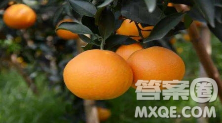 有一個充滿幻想的青年材料作文600字 關于有一個充滿幻想的青年的材料作文600字