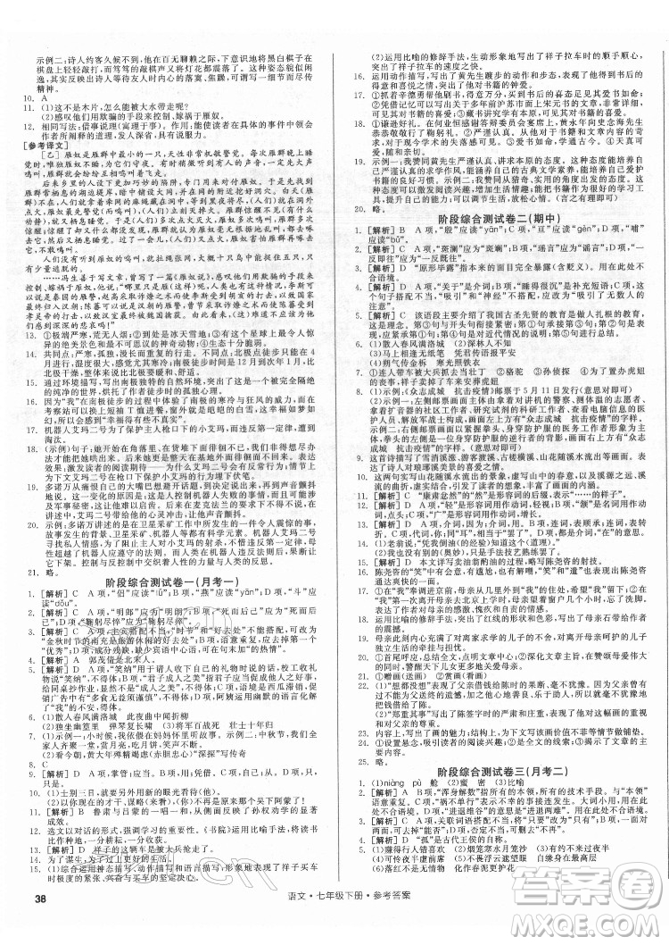 陽光出版社2022全品小復(fù)習(xí)七年級下冊語文人教版答案