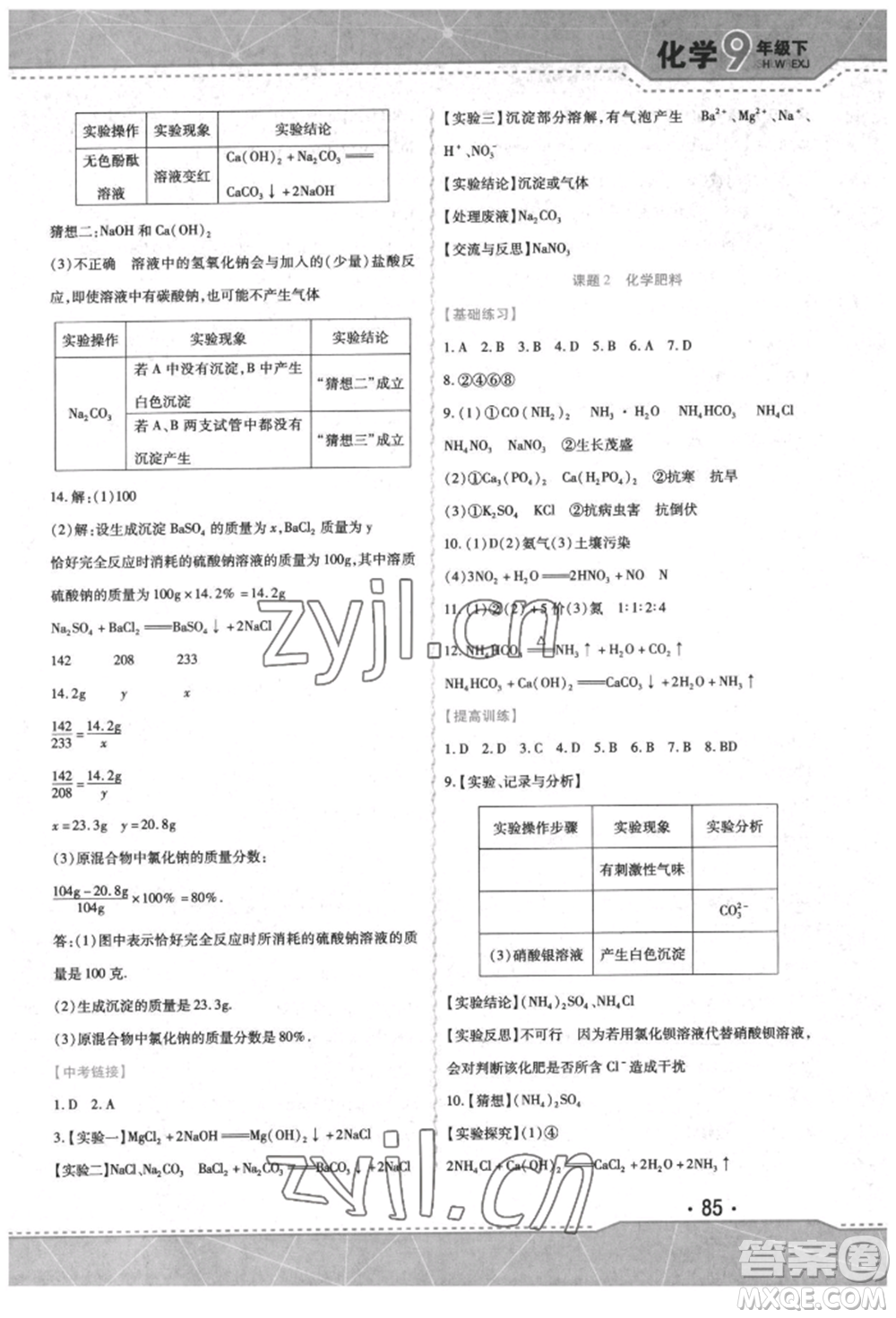 吉林出版集團(tuán)股份有限公司2022精析巧練階段驗收與測試九年級下冊化學(xué)人教版參考答案