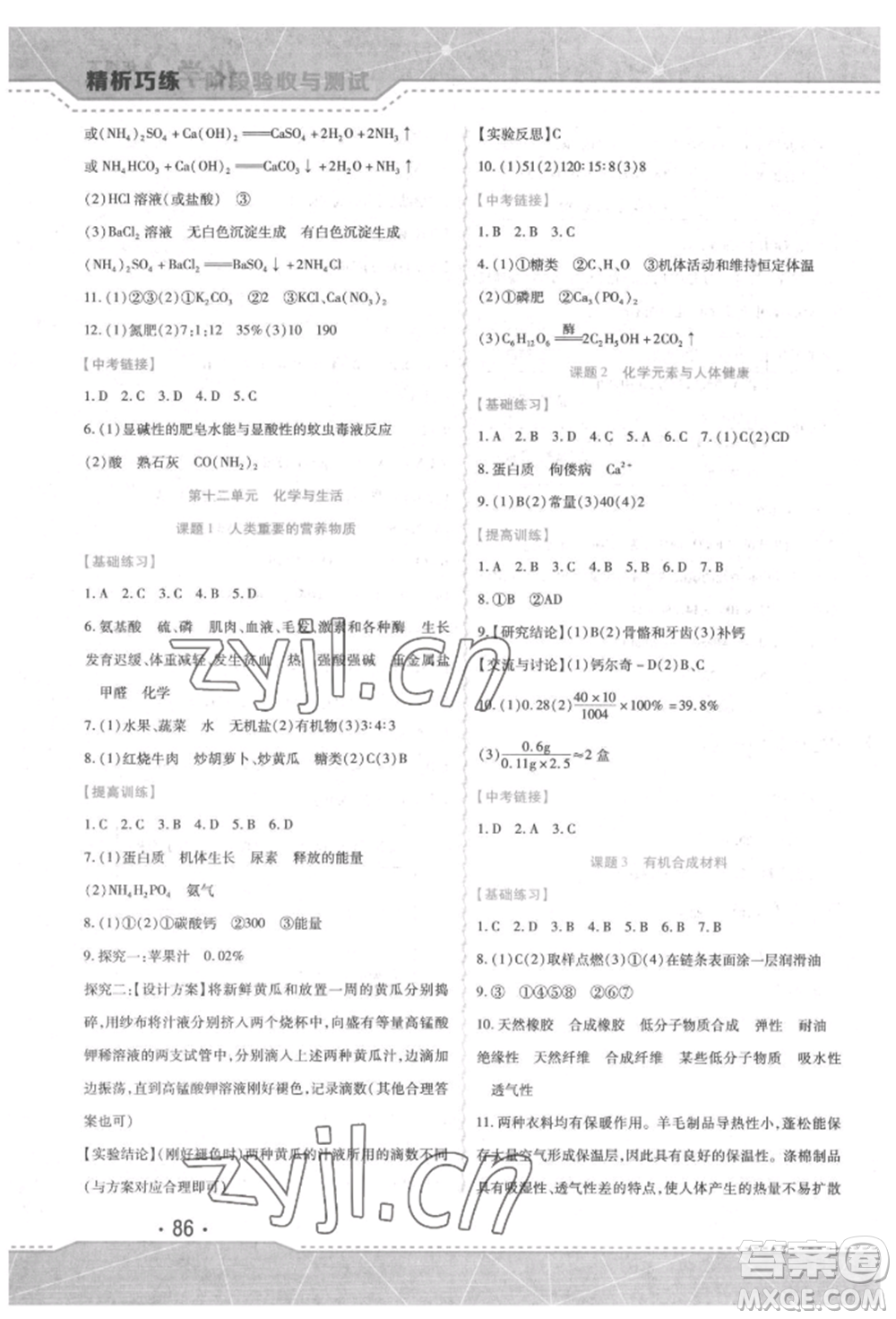 吉林出版集團(tuán)股份有限公司2022精析巧練階段驗收與測試九年級下冊化學(xué)人教版參考答案