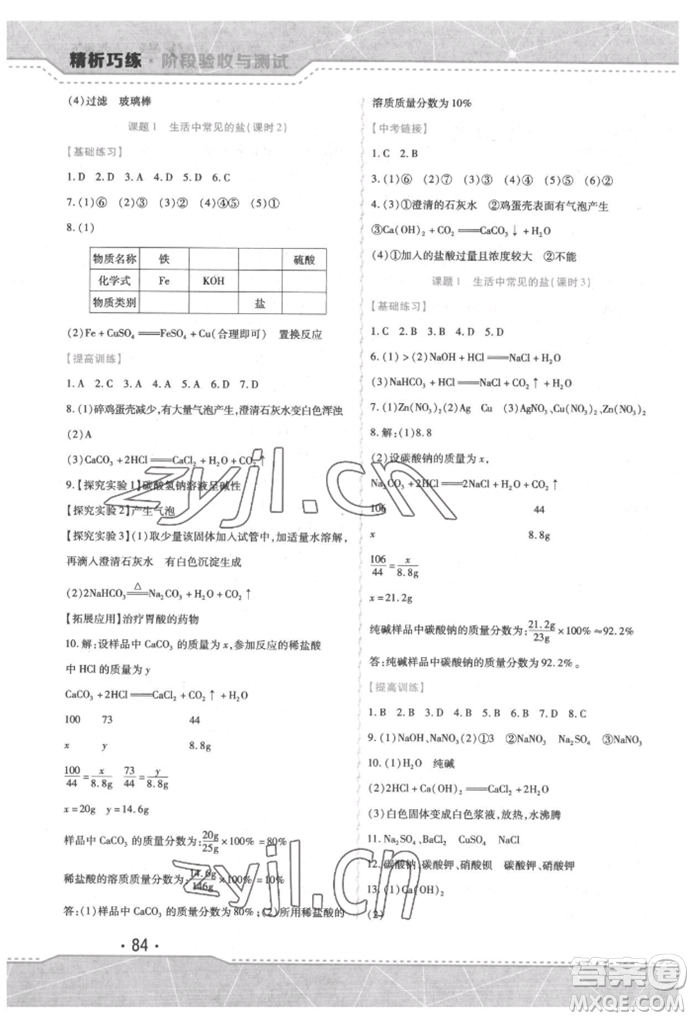 吉林出版集團(tuán)股份有限公司2022精析巧練階段驗收與測試九年級下冊化學(xué)人教版參考答案