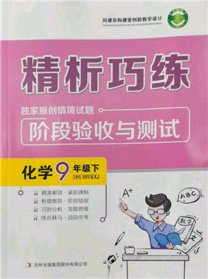 吉林出版集團(tuán)股份有限公司2022精析巧練階段驗收與測試九年級下冊化學(xué)人教版參考答案