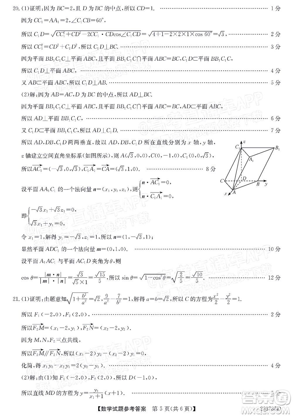 2022廣東高三5月聯(lián)考數(shù)學試題及答案