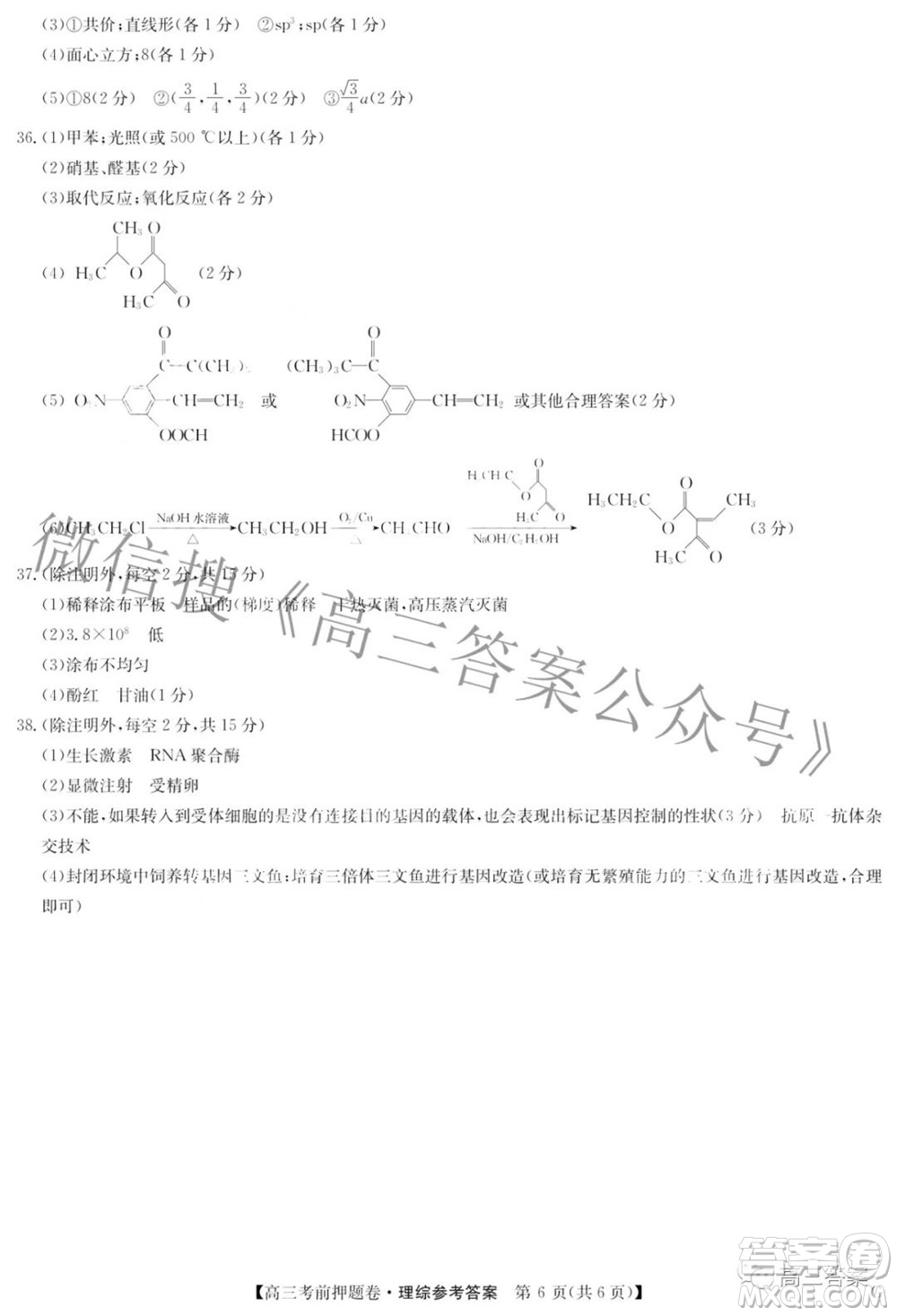 2022九師聯(lián)盟考前押題卷G版文科數(shù)學(xué)答案