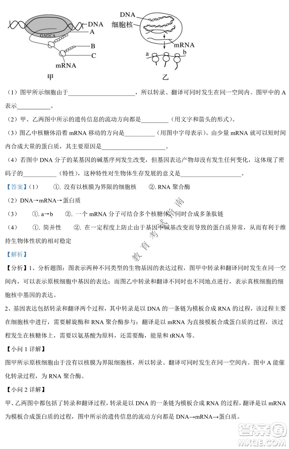 銀川一中2021-2022學(xué)年度下高二期中考試生物試卷及答案