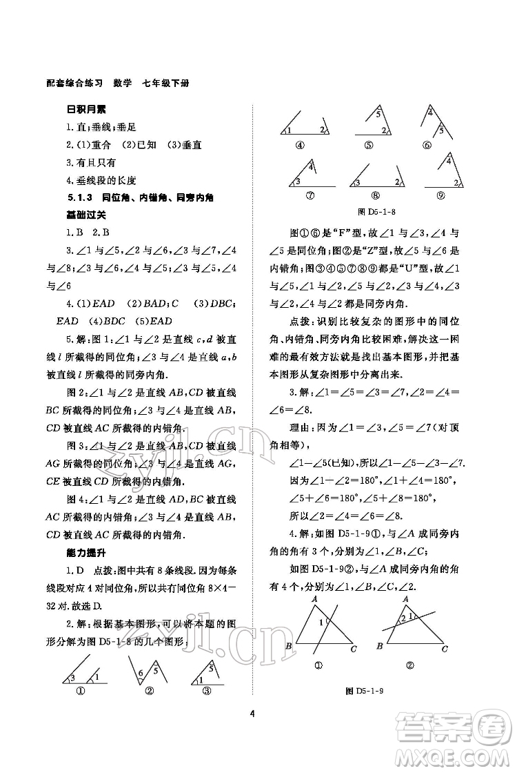 北京師范大學出版社2022數(shù)學配套綜合練習七年級下冊人教版答案