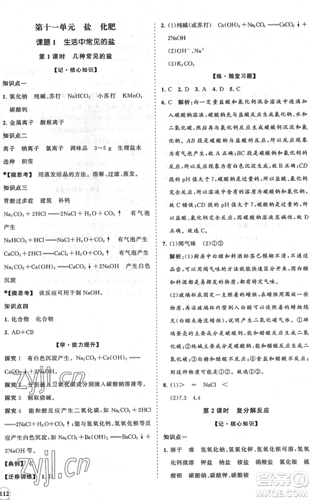 海南出版社2022知行課堂新課程同步練習(xí)冊(cè)九年級(jí)化學(xué)下冊(cè)人教版答案