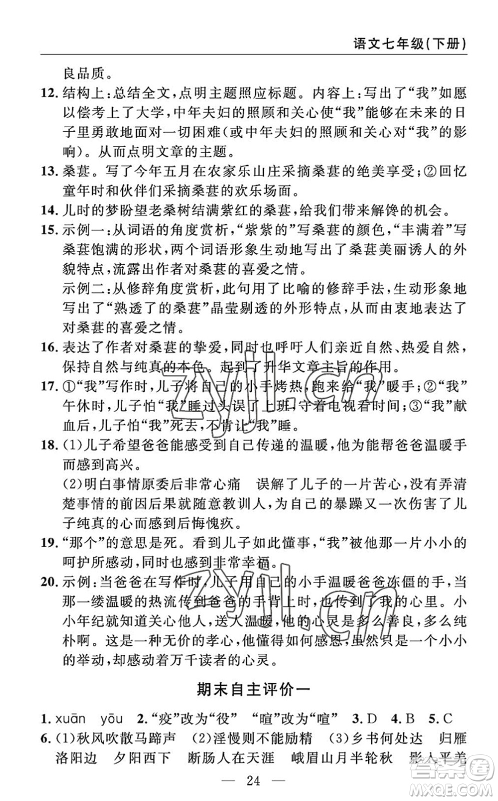 長江少年兒童出版社2022智慧課堂自主評價七年級語文下冊通用版答案