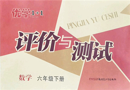 新疆青少年出版社2022優(yōu)學1+1評價與測試六年級數(shù)學下冊人教版答案