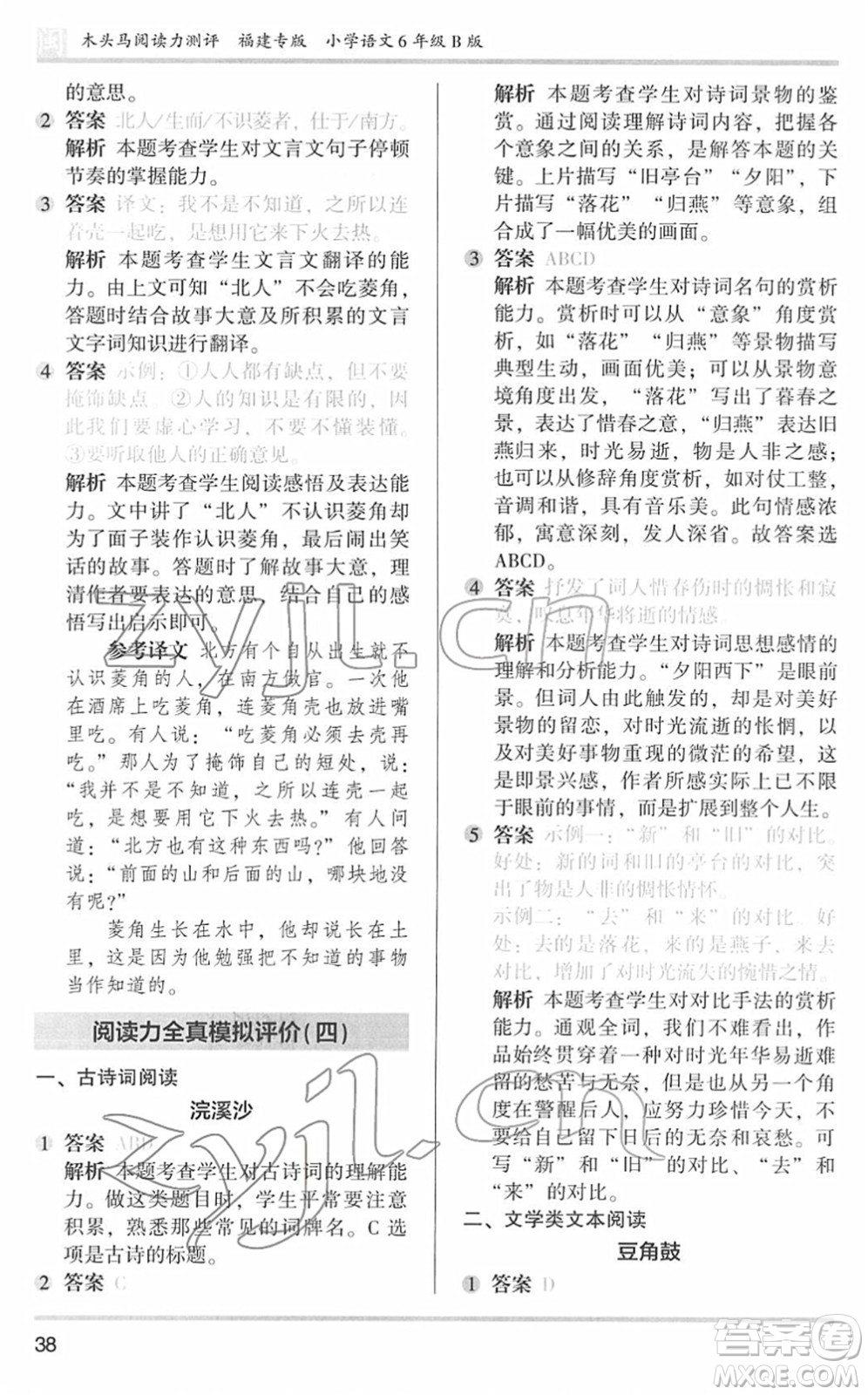 鷺江出版社2022木頭馬閱讀力測評六年級語文下冊B版福建專版答案