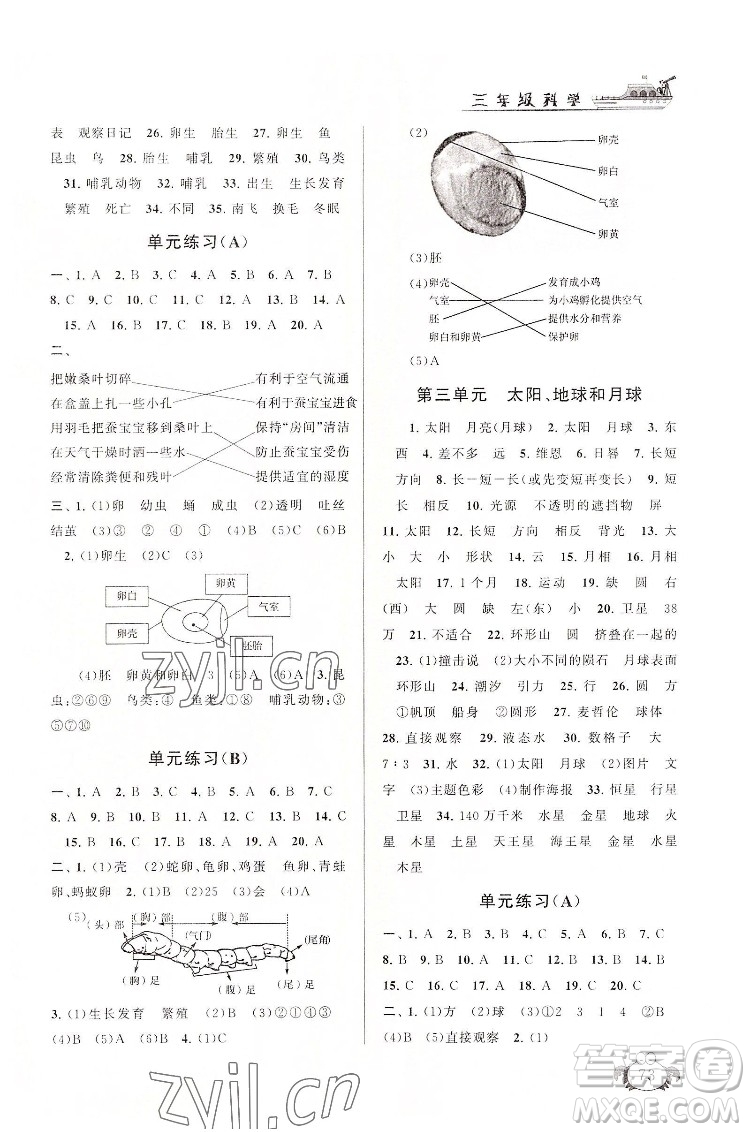 安徽人民出版社2022暑假大串聯(lián)科學(xué)三年級(jí)教育科學(xué)教材適用答案