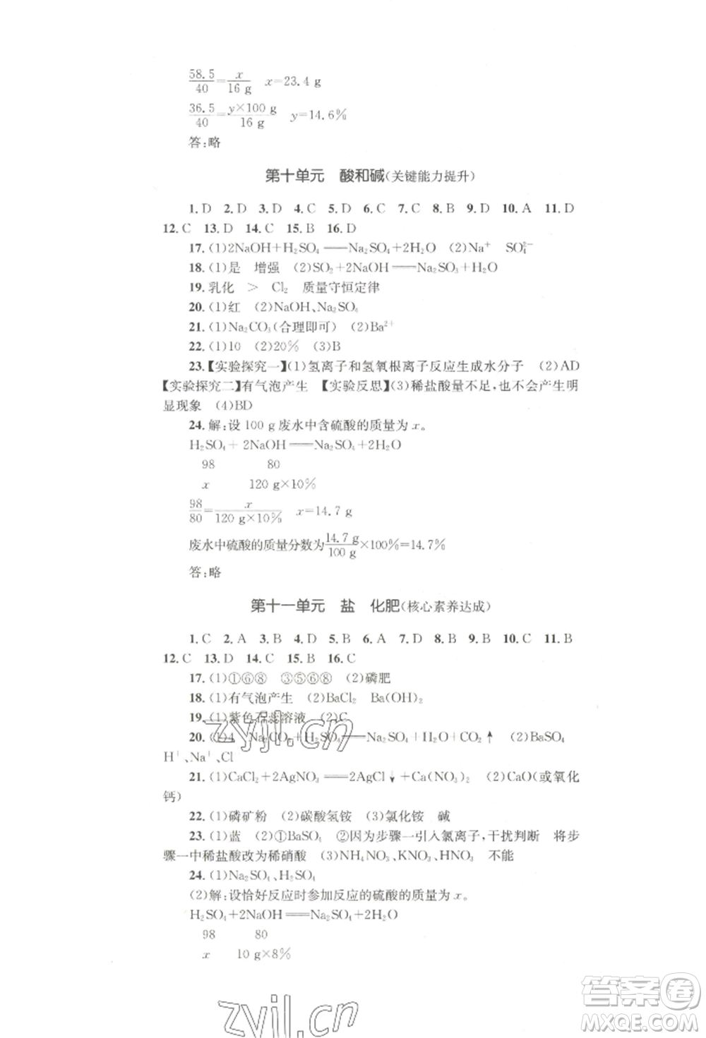 湖南教育出版社2022學科素養(yǎng)與能力提升九年級下冊化學人教版參考答案