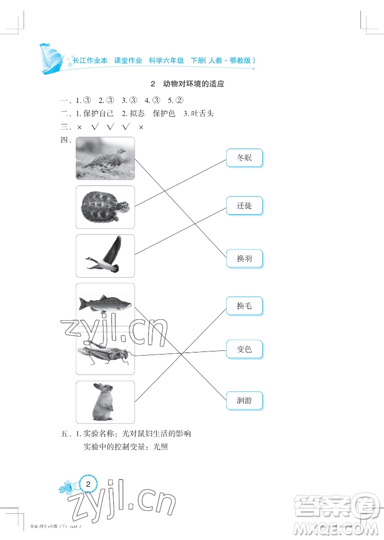 湖北教育出版社2022長江作業(yè)本課堂作業(yè)科學六年級下冊鄂教版答案