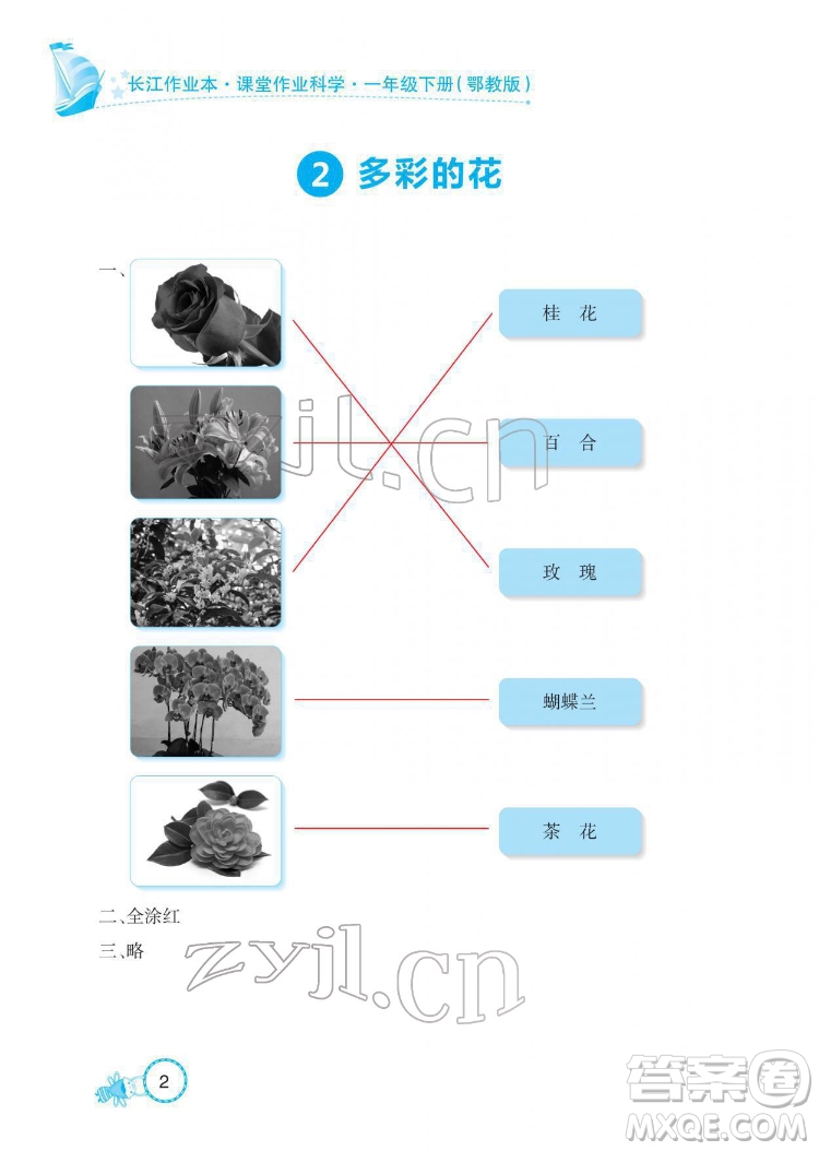 湖北教育出版社2022長江作業(yè)本課堂作業(yè)科學(xué)一年級下冊鄂教版答案