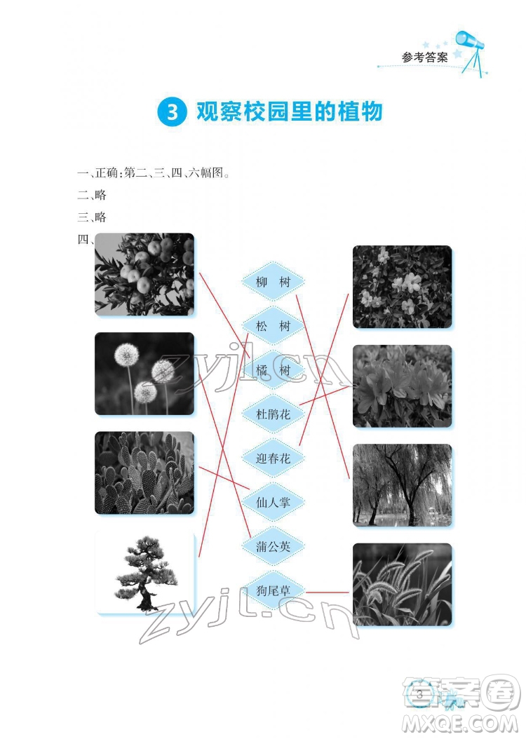 湖北教育出版社2022長江作業(yè)本課堂作業(yè)科學(xué)一年級下冊鄂教版答案