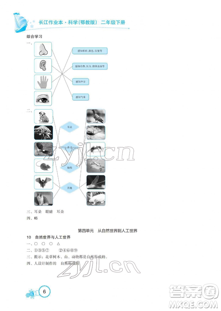 湖北教育出版社2022長江作業(yè)本課堂作業(yè)科學(xué)二年級下冊鄂教版答案