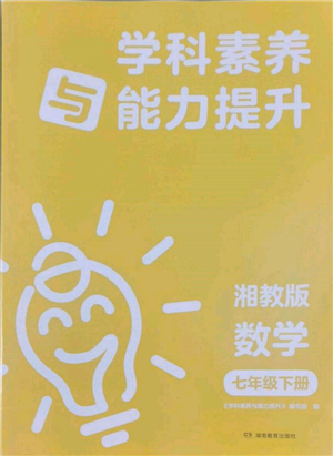 湖南教育出版社2022學(xué)科素養(yǎng)與能力提升七年級下冊數(shù)學(xué)湘教版參考答案