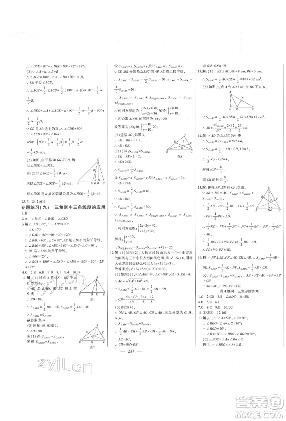 吉林人民出版社2022初中新課標(biāo)名師學(xué)案智慧大課堂七年級下冊數(shù)學(xué)青島版參考答案