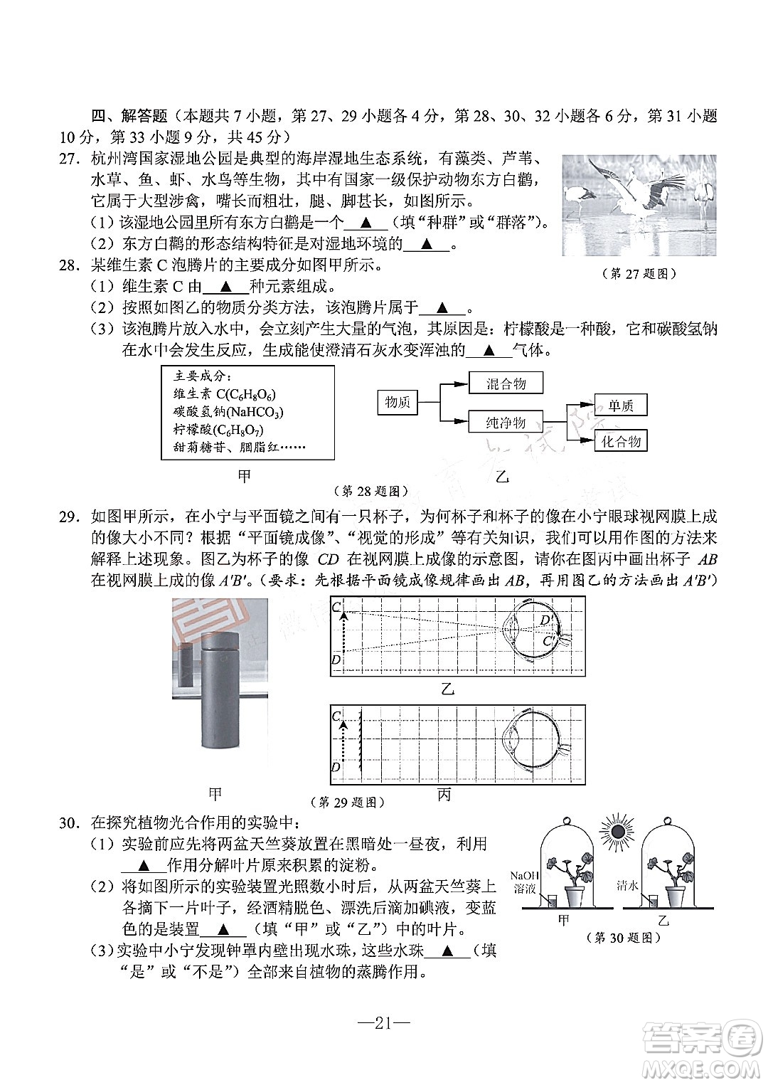 寧波市2022年初中學(xué)業(yè)水平考試科學(xué)試題及答案