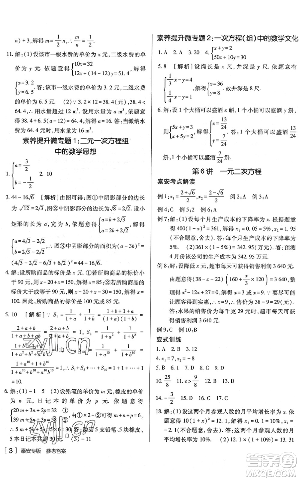 新疆青少年出版社2022升學(xué)錦囊九年級(jí)數(shù)學(xué)泰安專版答案