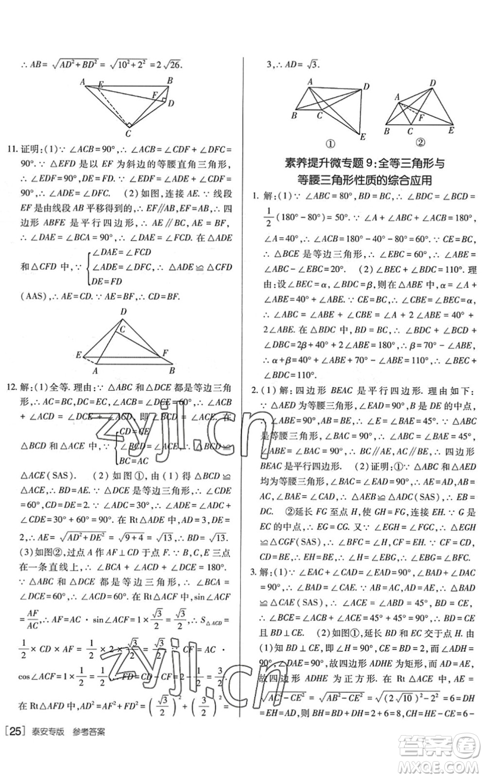 新疆青少年出版社2022升學(xué)錦囊九年級(jí)數(shù)學(xué)泰安專版答案