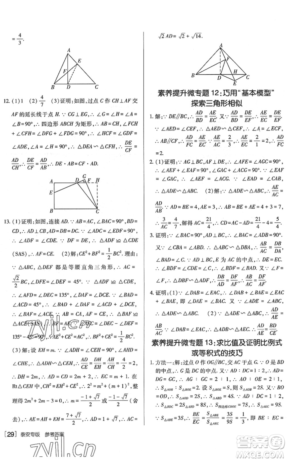 新疆青少年出版社2022升學(xué)錦囊九年級(jí)數(shù)學(xué)泰安專版答案