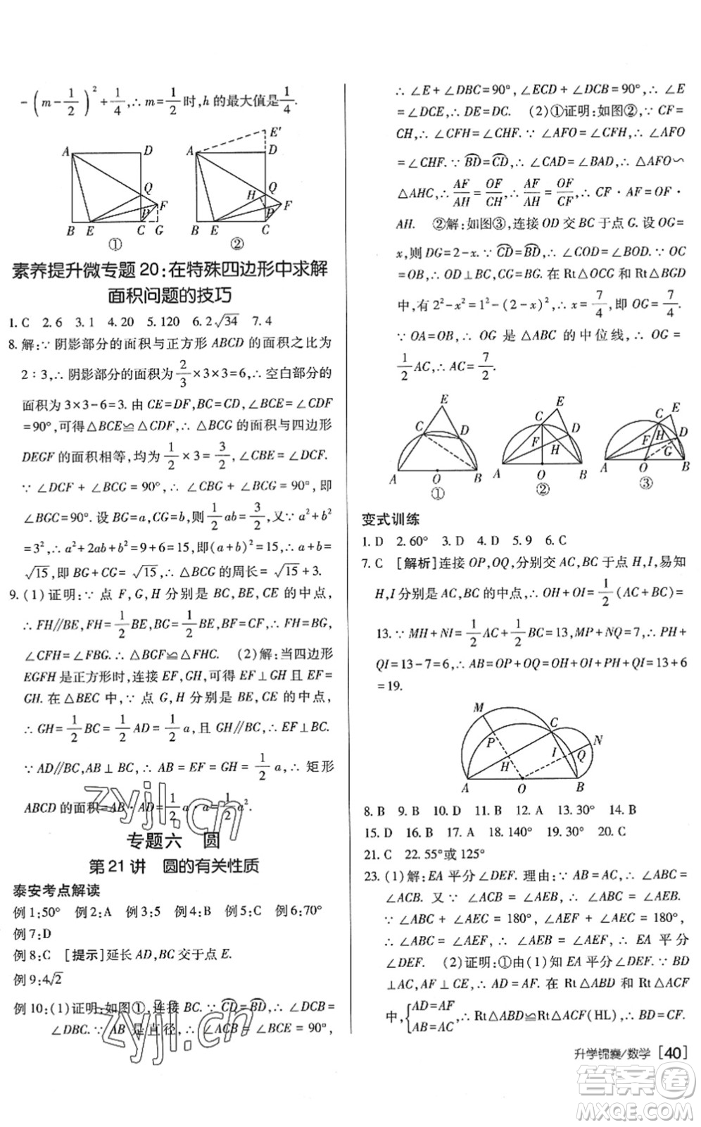 新疆青少年出版社2022升學(xué)錦囊九年級(jí)數(shù)學(xué)泰安專版答案