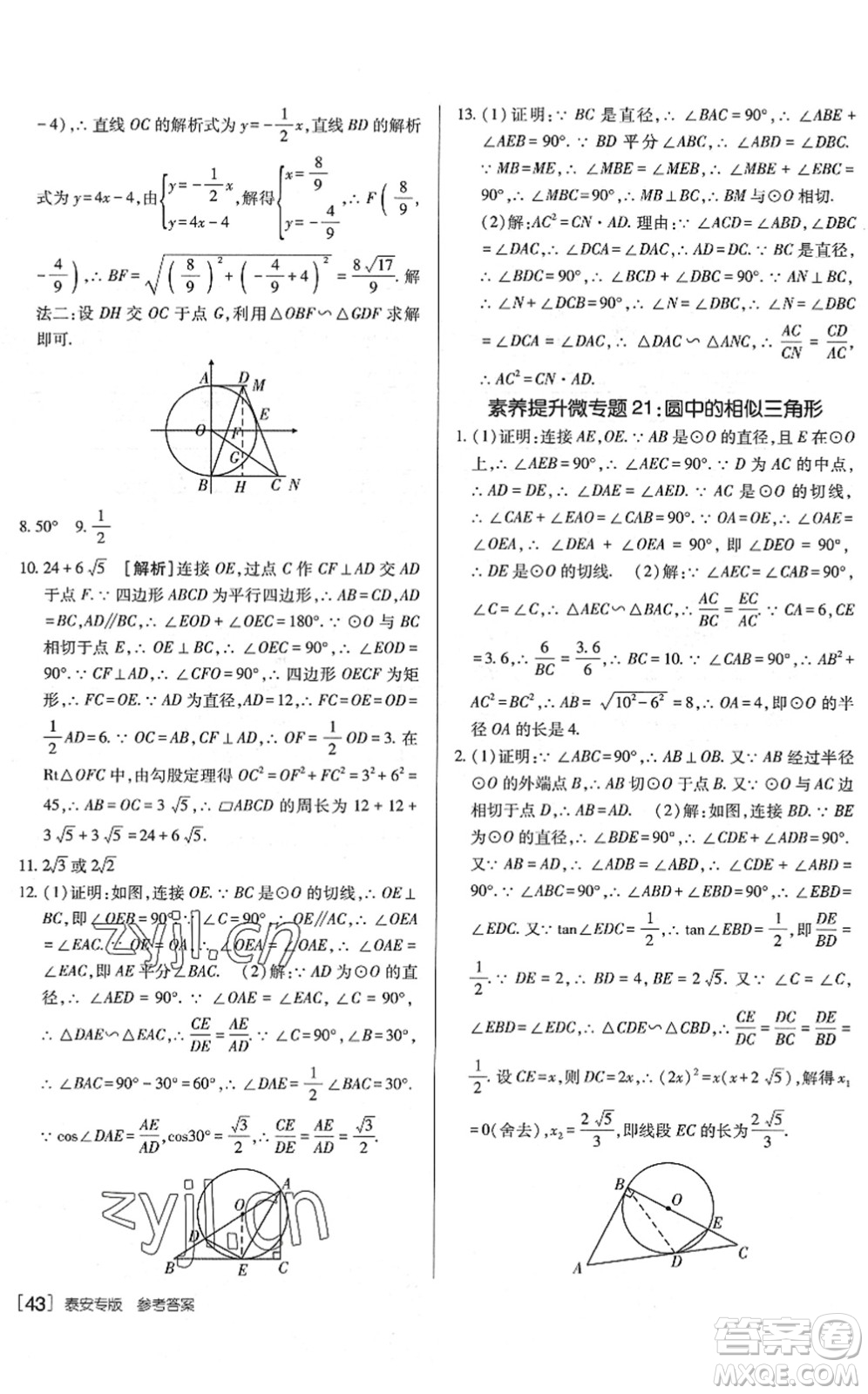 新疆青少年出版社2022升學(xué)錦囊九年級(jí)數(shù)學(xué)泰安專版答案