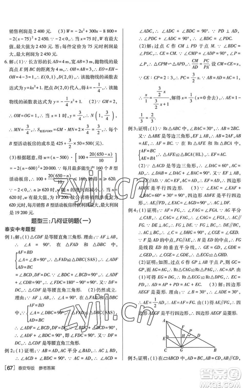 新疆青少年出版社2022升學(xué)錦囊九年級(jí)數(shù)學(xué)泰安專版答案