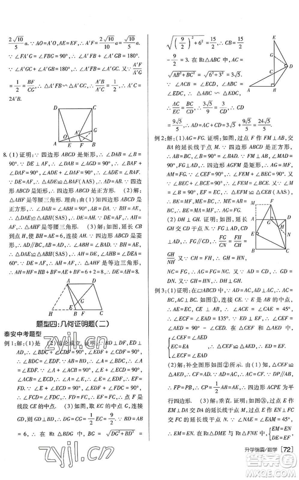 新疆青少年出版社2022升學(xué)錦囊九年級(jí)數(shù)學(xué)泰安專版答案