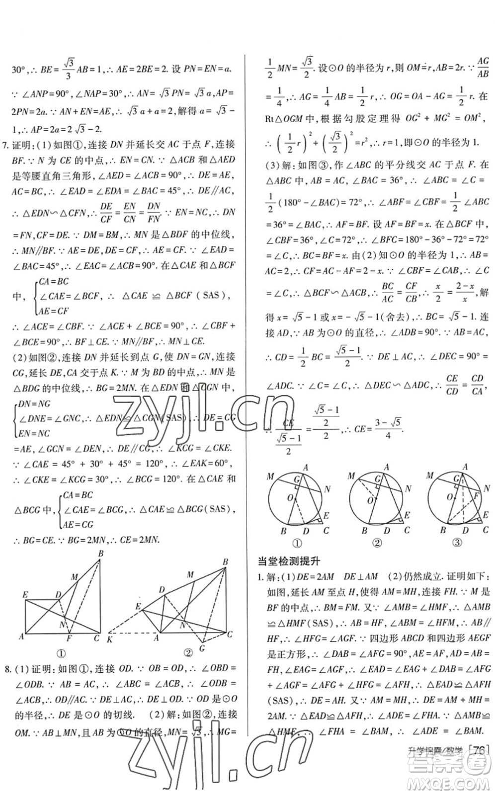 新疆青少年出版社2022升學(xué)錦囊九年級(jí)數(shù)學(xué)泰安專版答案