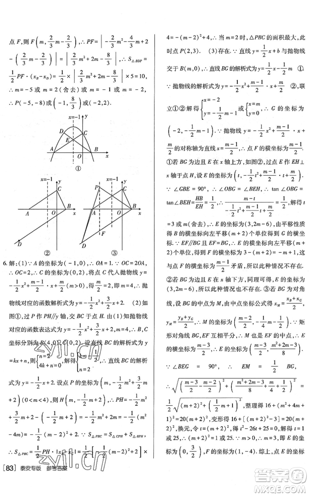 新疆青少年出版社2022升學(xué)錦囊九年級(jí)數(shù)學(xué)泰安專版答案