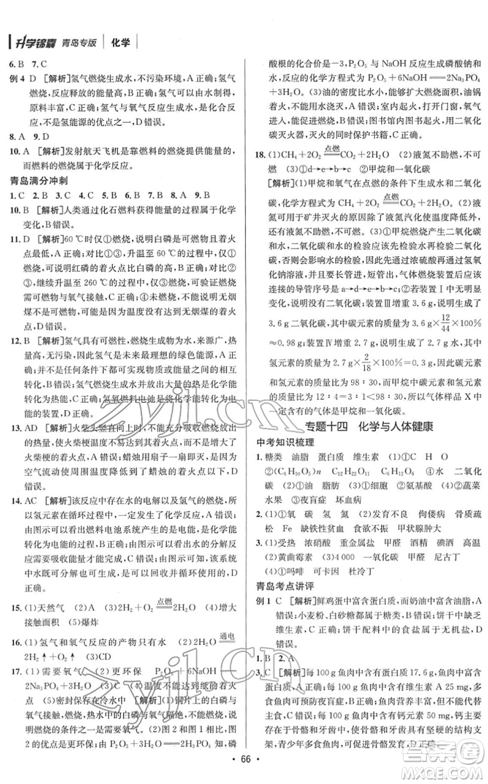 新疆青少年出版社2022升學(xué)錦囊九年級(jí)化學(xué)青島專版答案