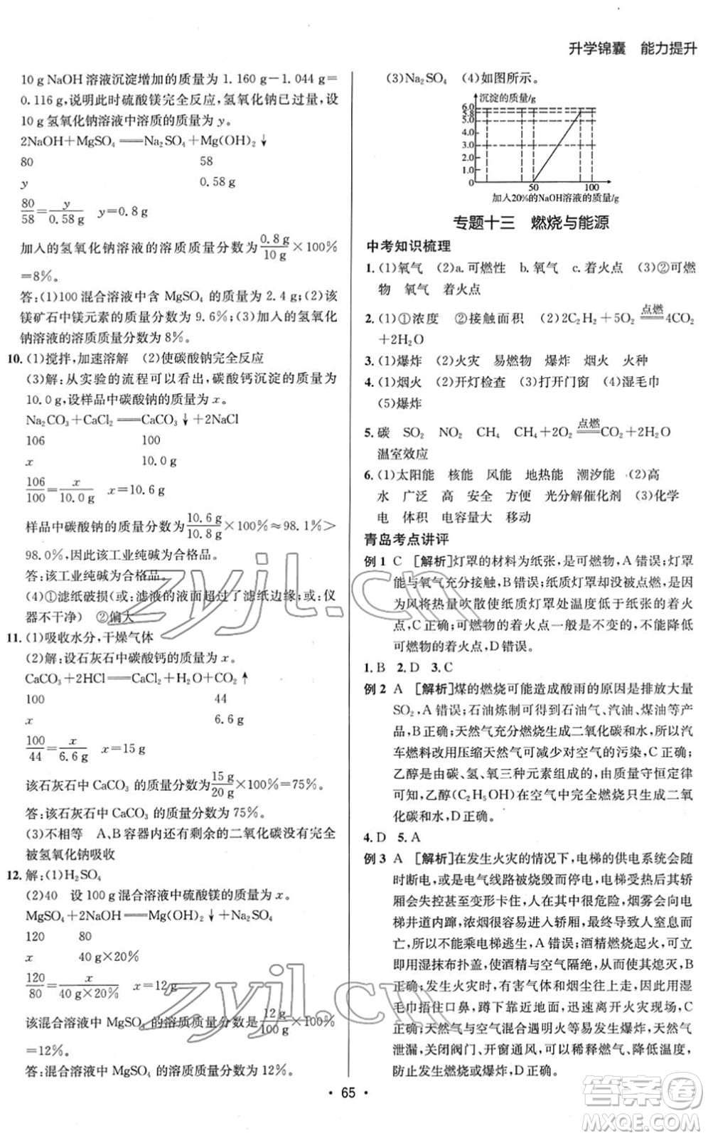 新疆青少年出版社2022升學(xué)錦囊九年級(jí)化學(xué)青島專版答案