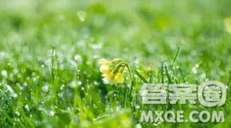 聽雨為題作文600字 以聽雨為題目的作文600字