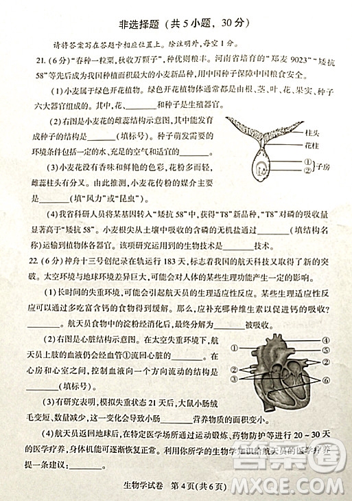 2022年河南省普通高中招生考試生物學(xué)試題及答案