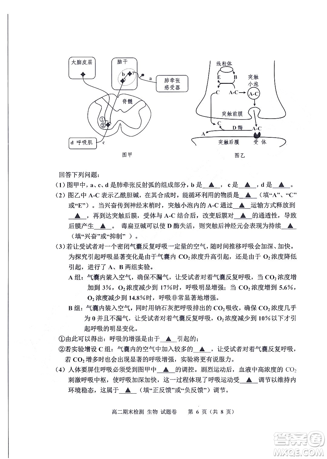 嘉興市2021-2022學(xué)年第二學(xué)期期末檢測(cè)高二生物試題卷及答案