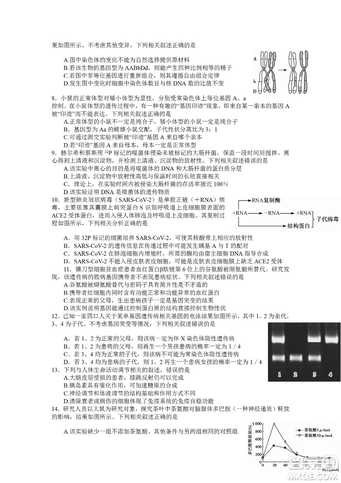 2023屆湖北省九師聯(lián)盟高三新高考摸底聯(lián)考生物試題及答案