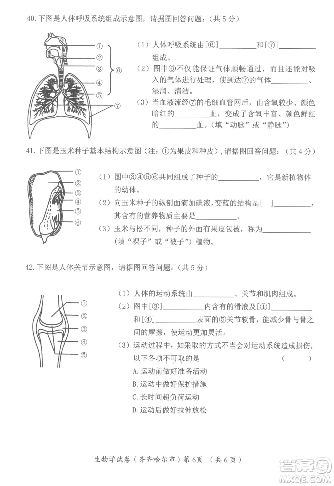 2022年齊齊哈爾市初中學業(yè)考試生物學試卷及答案