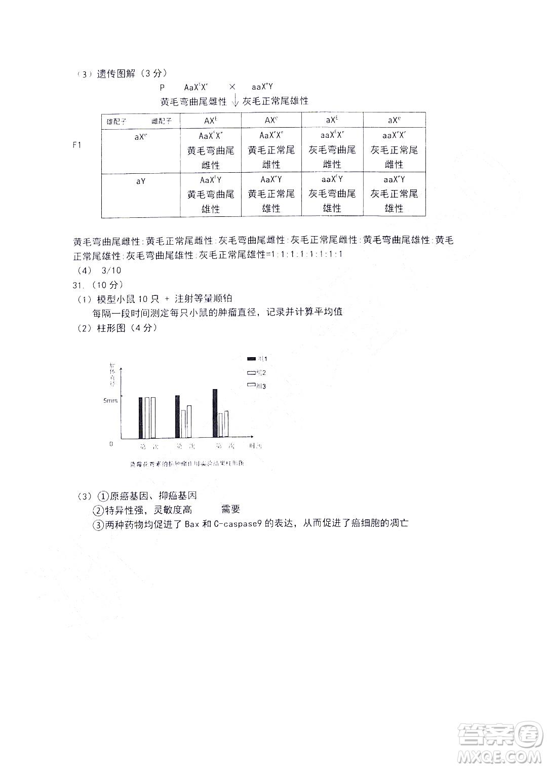 金華十校2021-2022學(xué)年第二學(xué)期期末調(diào)研考試高二生物試題卷及答案