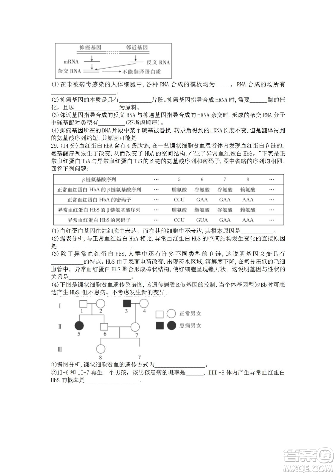 湖北省十堰市2021-2022學年下學期期末調(diào)研考試高一生物試題及答案