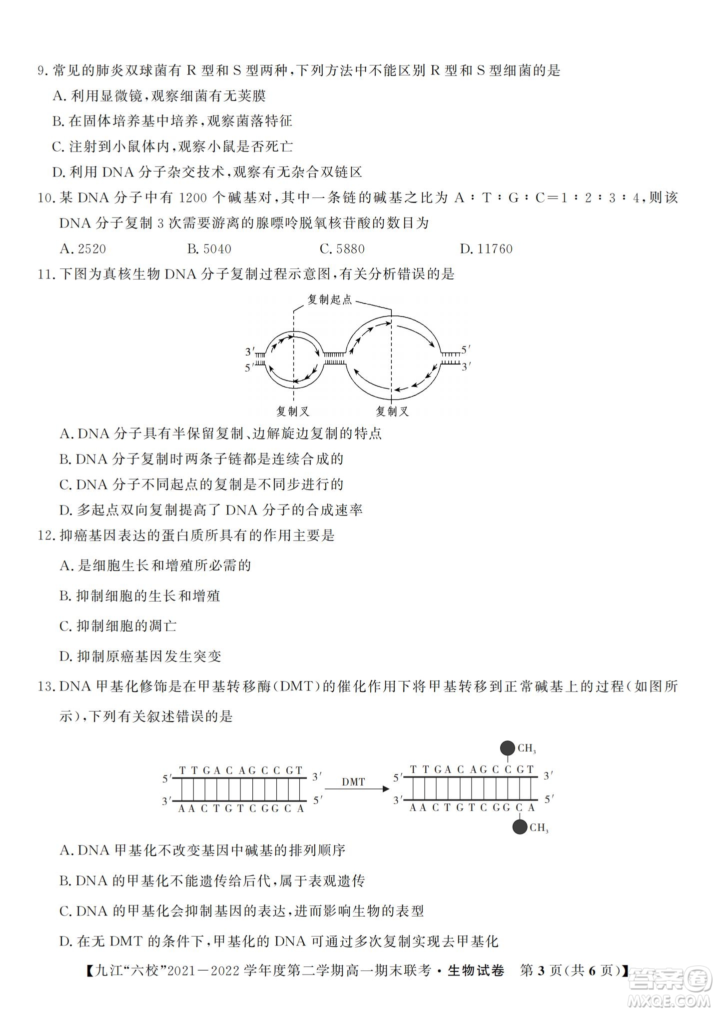 九江六校2021-2022學(xué)年度第二學(xué)期高一期末聯(lián)考生物試題及答案