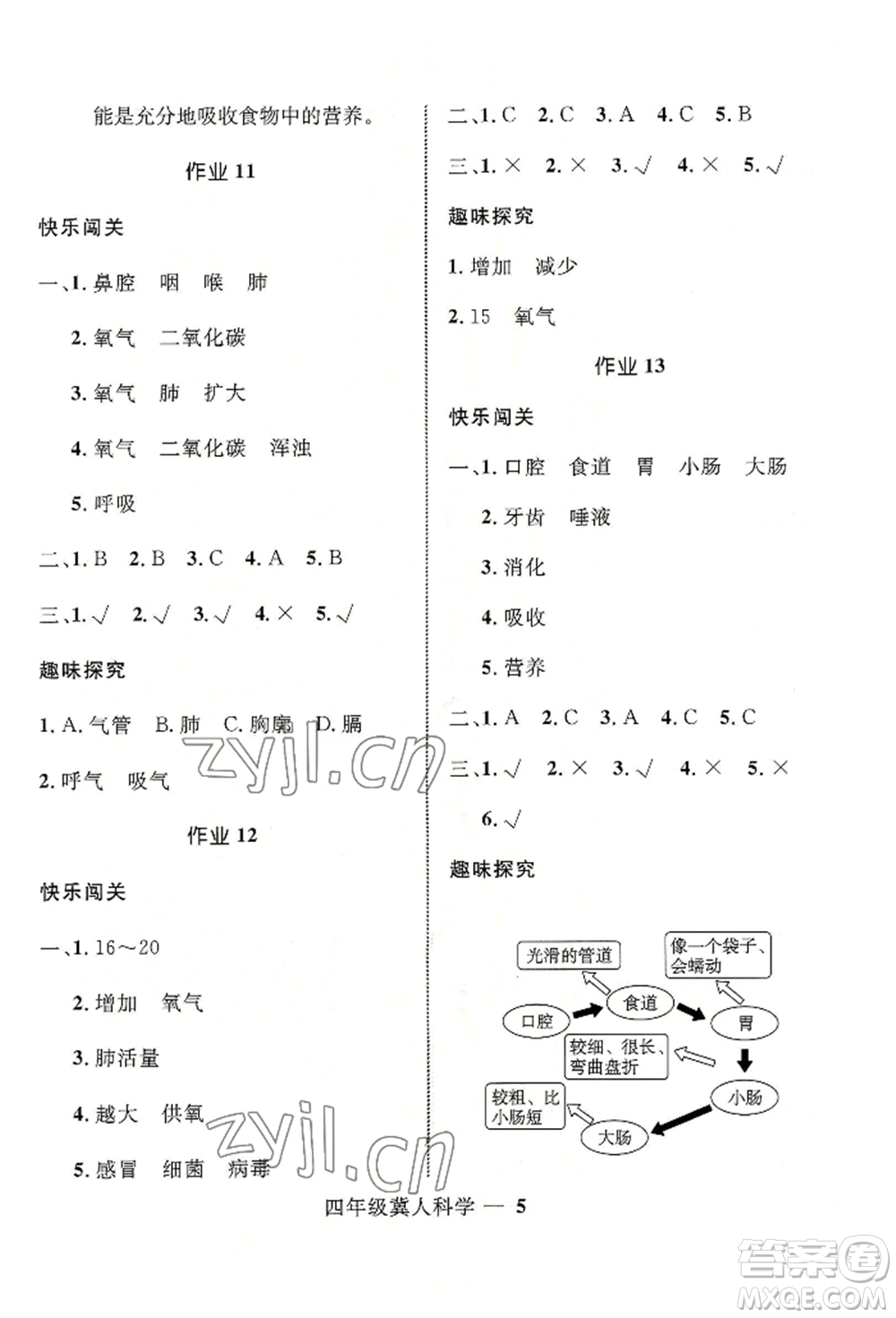 河北少年兒童出版社2022贏在起跑線小學(xué)生快樂暑假四年級科學(xué)冀人版參考答案